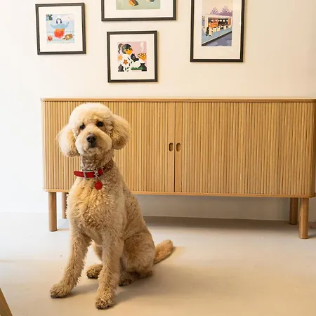 Szálloda Chez Zeiza Budapest